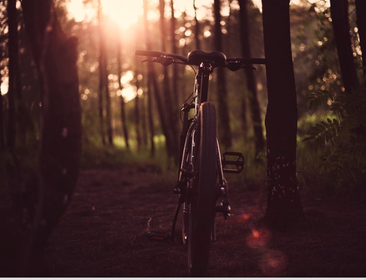 Nick Jonas’ Non-Profit Beyond Type 1’s “Team Bike Beyond” Completes 10-Week Cross Country Ride